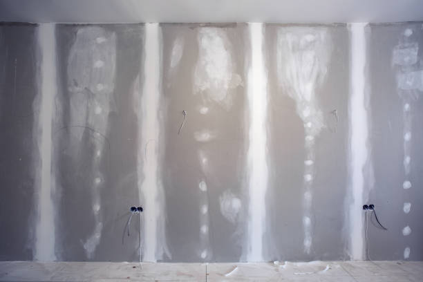 Best Asbestos and Lead Testing During Mold Inspection  in Shelby, MS