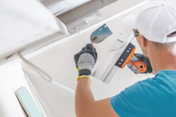 Best Emergency Mold Remediation  in Shelby, MS